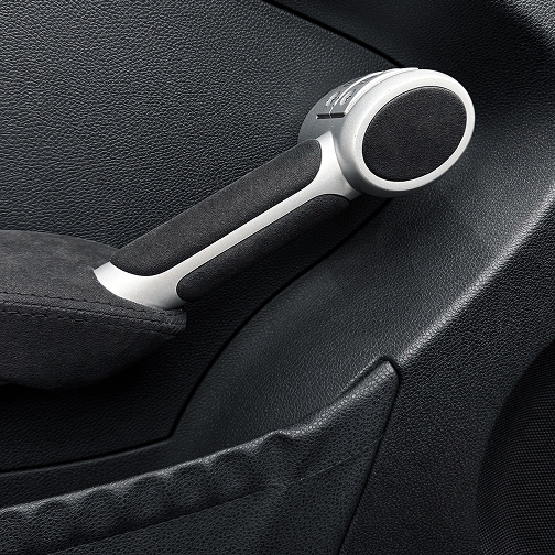 Mercedes Benz R171 Brabus Door Detail